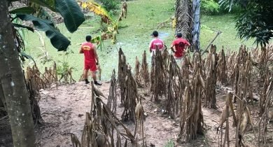 338922439_763531485143244_1235547301762754012_n