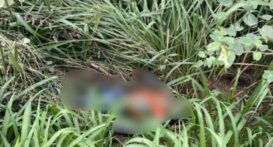 436196578_755323723348913_4833353106067086_n