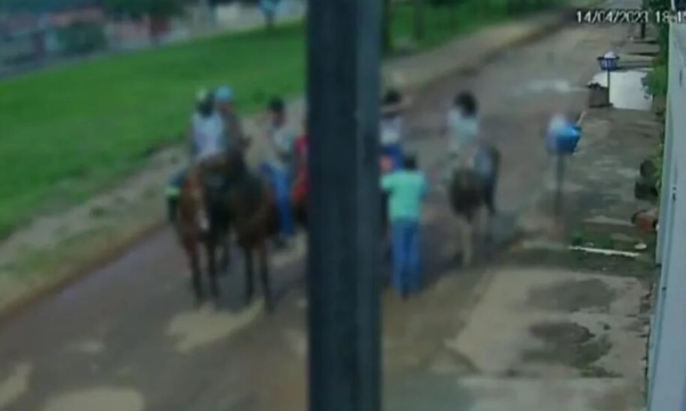 (Foto: Reprodução - Polícia Civil)