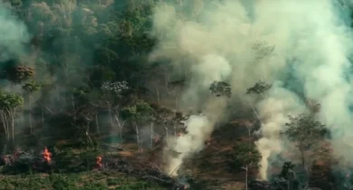 Screenshot_931-1024x585