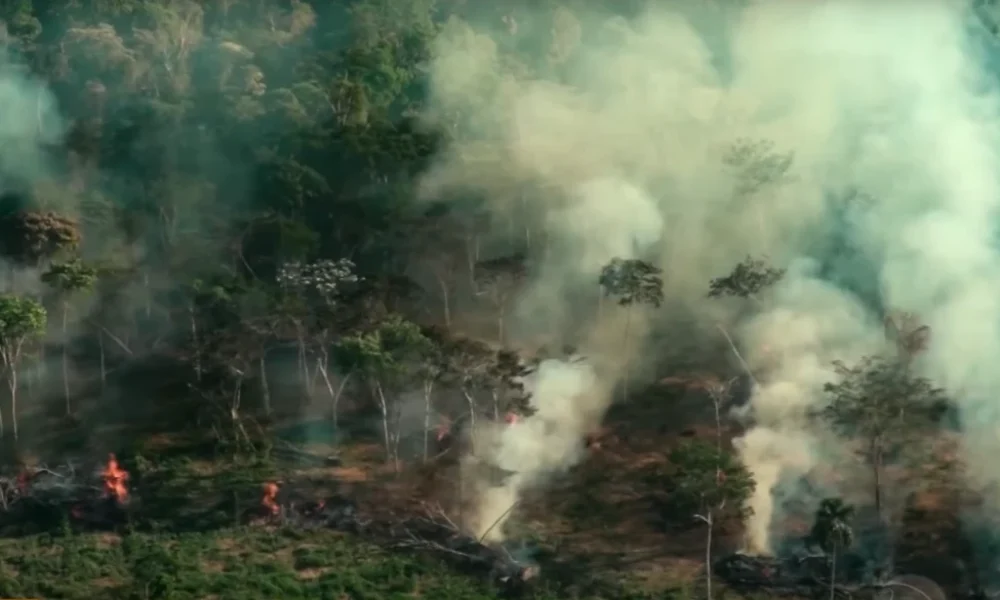 Screenshot_931-1024x585