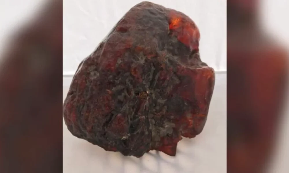 WhatsApp-Image-2025-04-06-at-19.02.39-1024x512