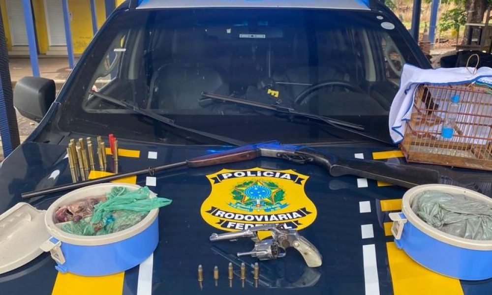 capa-30-qbpxhjq9ejx2ex859era7z7f8svope5z4c2qstax6w