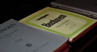 e80528c7-beethoven-g57ed4678c_1280