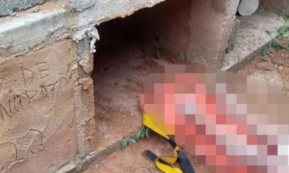 enterrada-viva-em-visconde-do-rio-branco-600x400