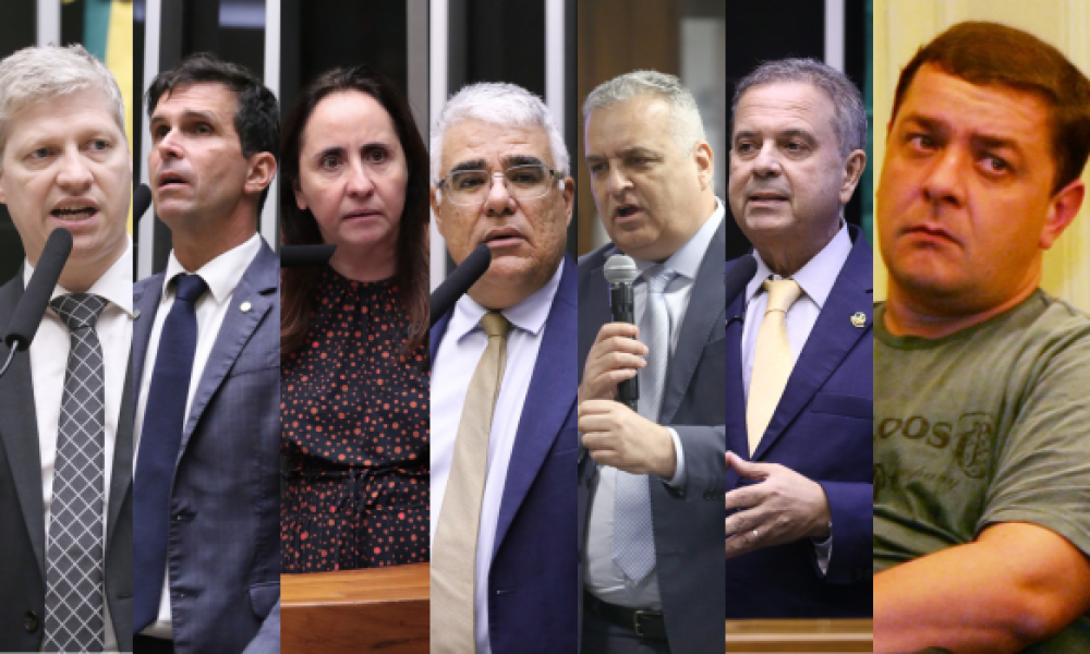 Marcel van Hattem, Luiz Lima, Adriana Ventura, Eduardo Girão, Alfredo Gaspar, Rogério Marinho e Lulinha Foto: Câmara dos Deputados e Juca Varella/Estadão