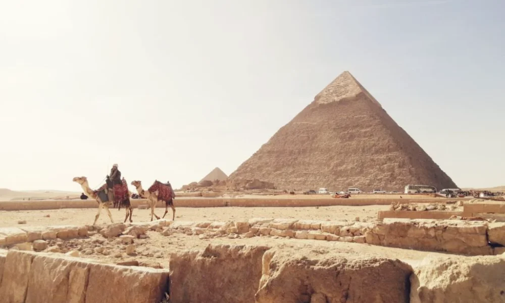 pexels-amr-saleh-467591-3958516-1024x768