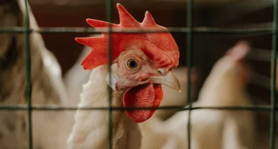 pexels-cottonbro-studio-4911727-768x512